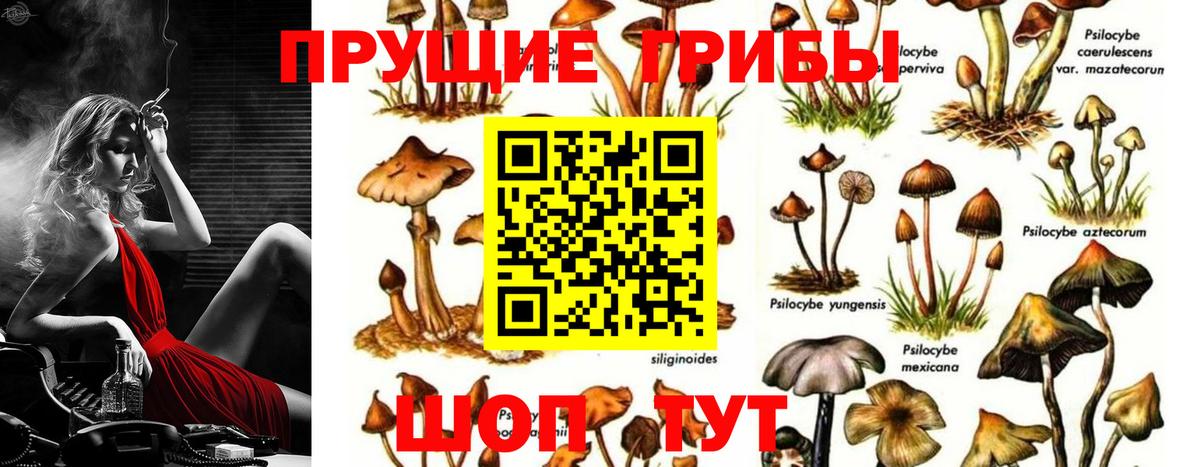 Галлюциногенные грибы ЛСД  Вход с VPN  Вышний Волочёк 